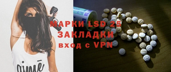 индика Бородино