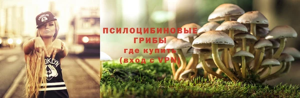 шишки Верхнеуральск
