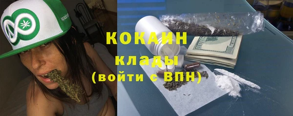 индика Бородино