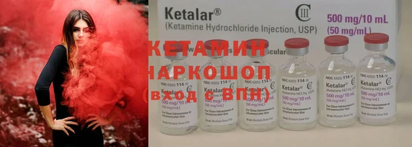 индика Бородино
