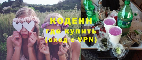 индика Бородино