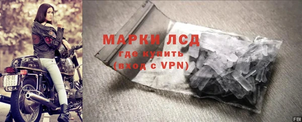 индика Бородино