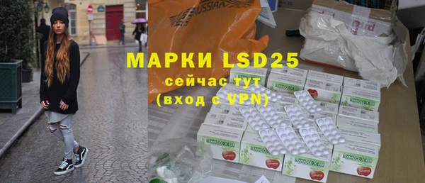 индика Бородино