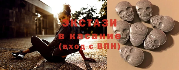 индика Бородино