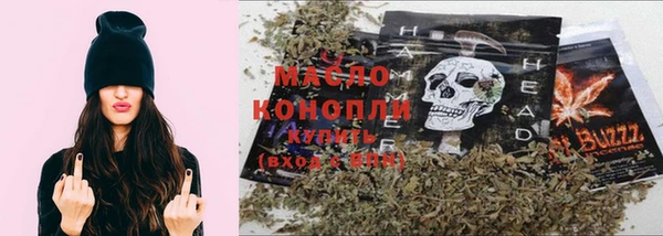 индика Бородино