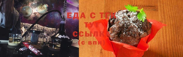 индика Бородино