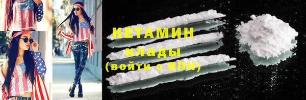 индика Бородино