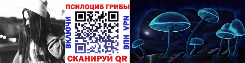 Псилоцибиновые грибы Magic Shrooms  Гулькевичи 